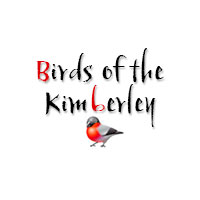 Birds of the Kimberley photos