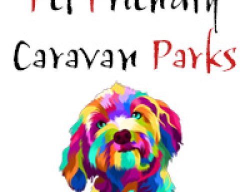 Pet Friendly Caravan Parks around Broome