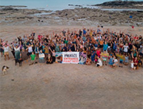 Entrance Point Reef under threat