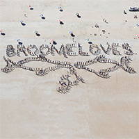 Broome Loves Whales