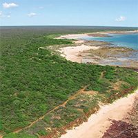 Broome's Endangered Vine Thicket